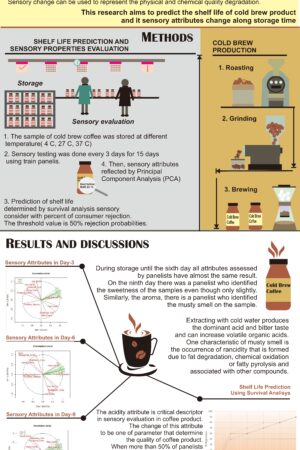 Shelf Life Prediction and Sensory Attributes of Cold Brew Cibulao Arabica Coffee During Storage