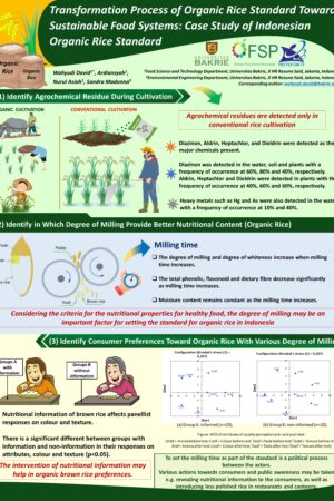 Transformation Process of Organic Rice Standard Toward Sustainable Food System: Case Study of Indonesian Organic Rice Standard