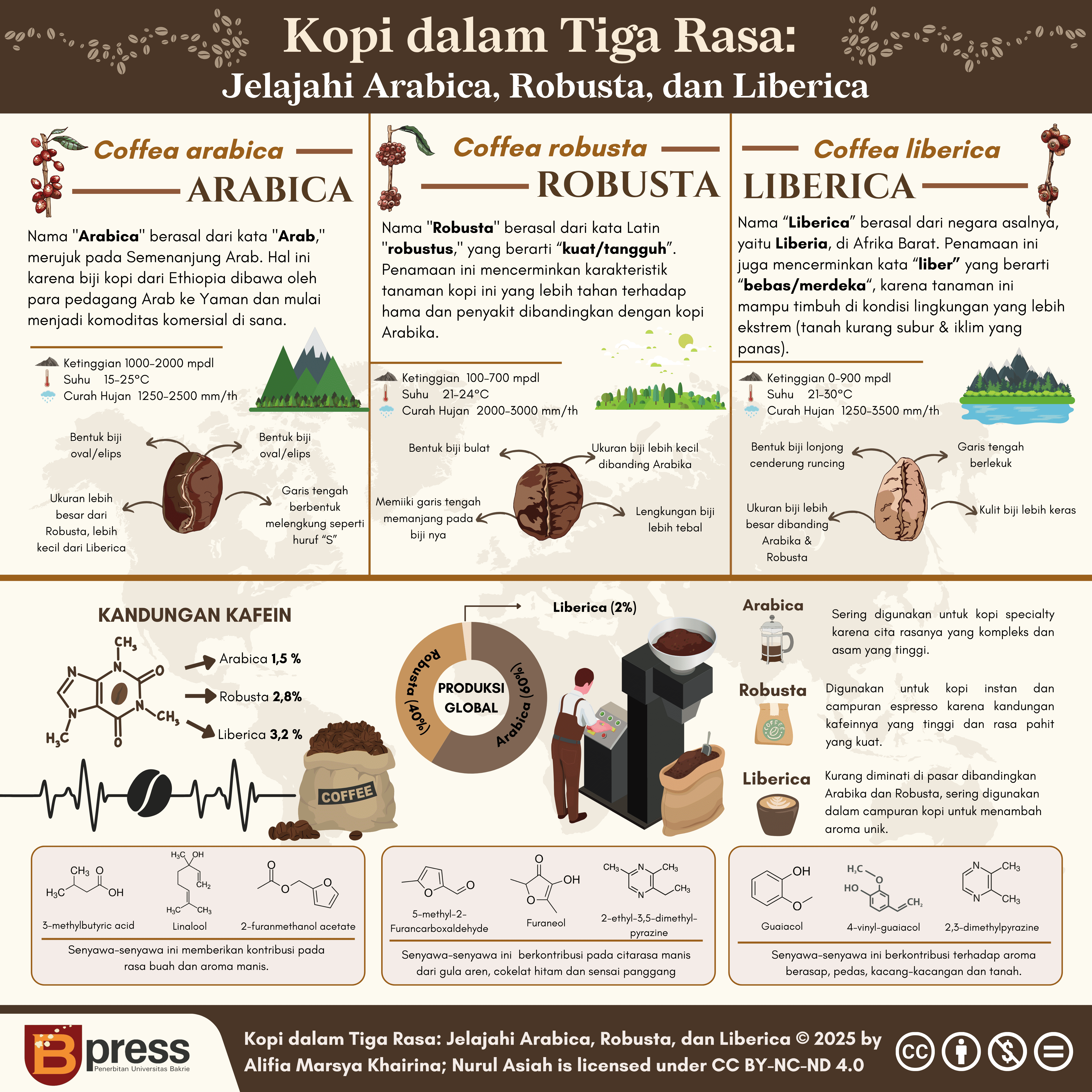 Kopi dalam Tiga Rasa: Jelajahi Arabica, Robusta, dan Liberica